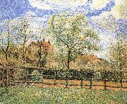 Camille Pissarro Pear trees bloom in the morning oil